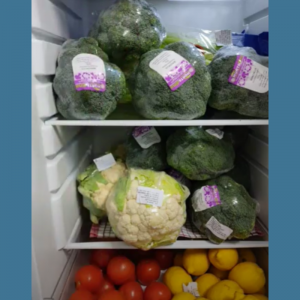 Alimentația copiilor în IET nr.53 sectorul Centru