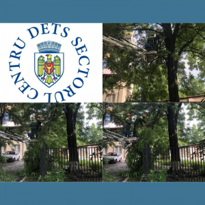 Au fost înlăturați arborii avariați de ploile abundente