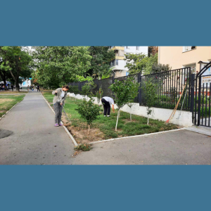 IET implicate activ în Campania de salubrizare de toamnă